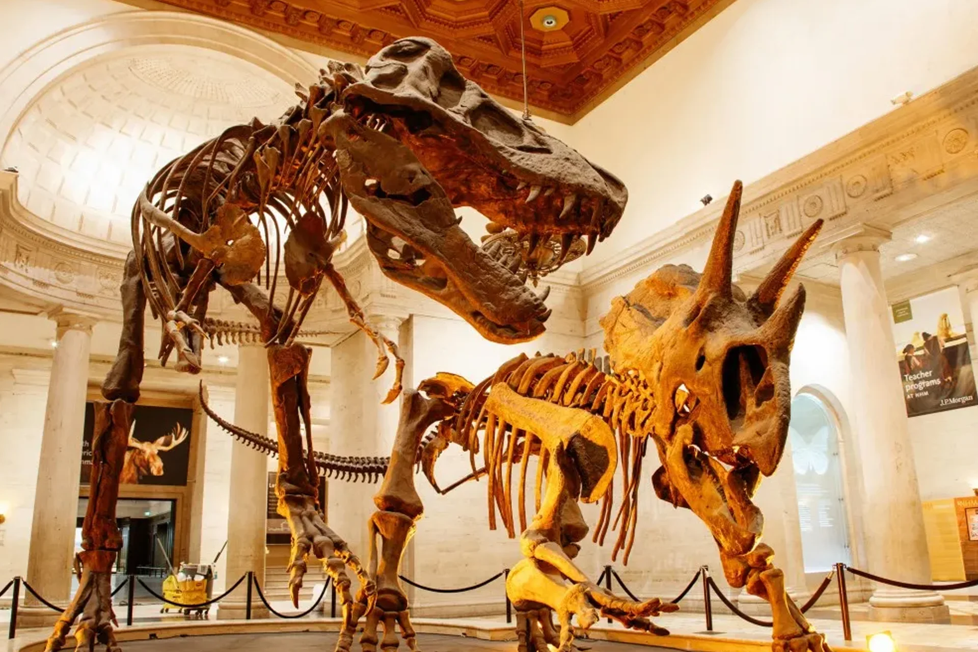 Los Angeles 24 Dinosaur skeleton on display at the Natural History Museum in Los Angeles